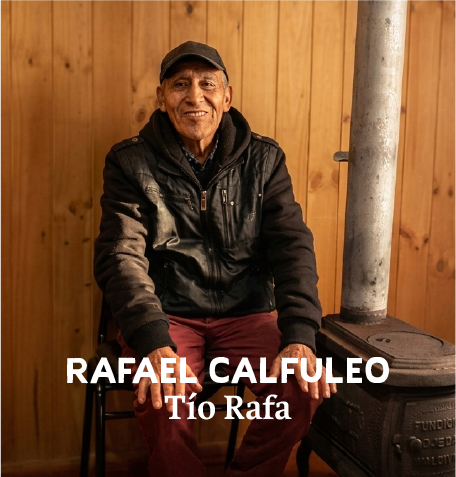 rafael calfuleo 1 100